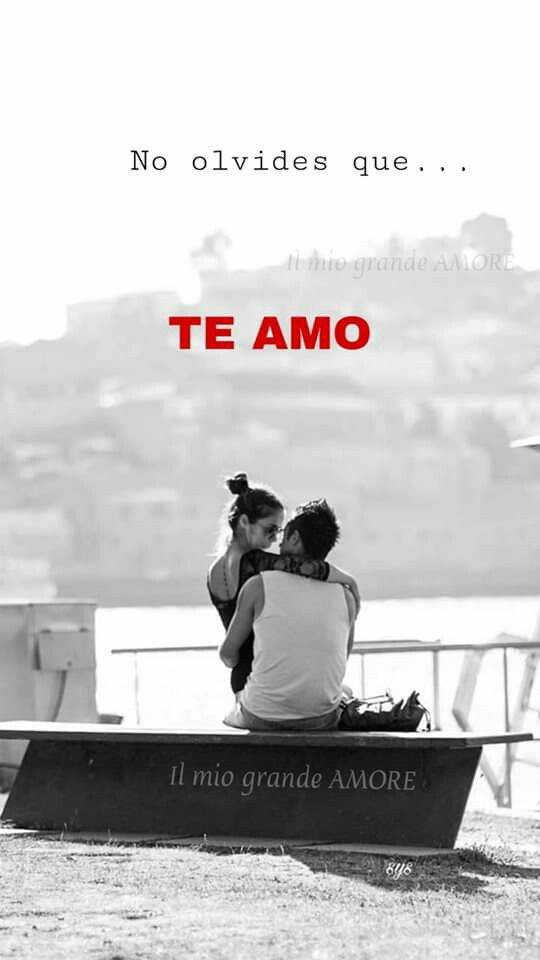 ᗩ೧೧iε ଘଓ • 。◕👑◕。 •ଘଓ tweet media