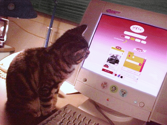 sunny #girlbobtwt ! yj spoilers tweet media