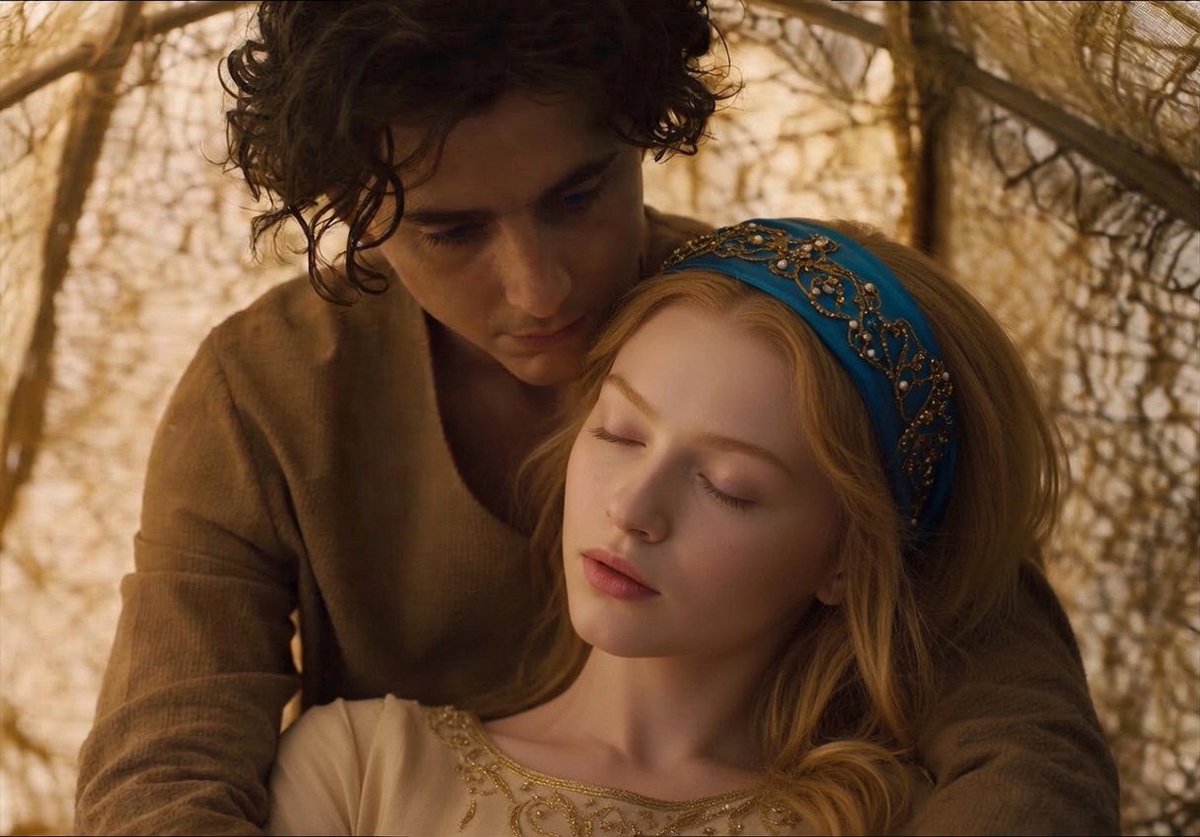 E.C.C.O. tweet media