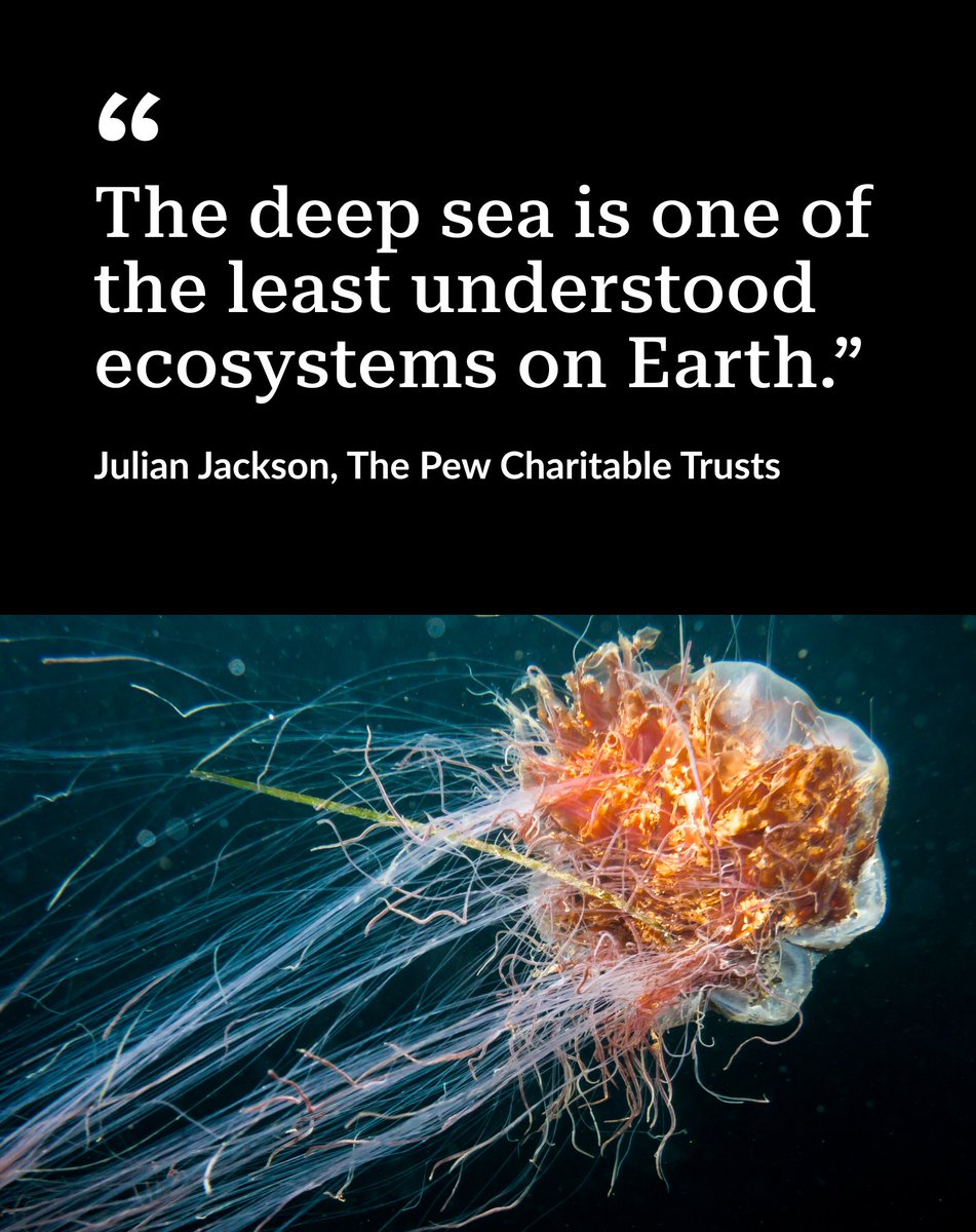 Pew Environment tweet media