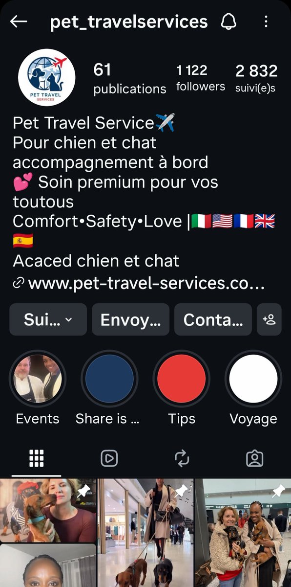 Domy_______🦅 tweet media