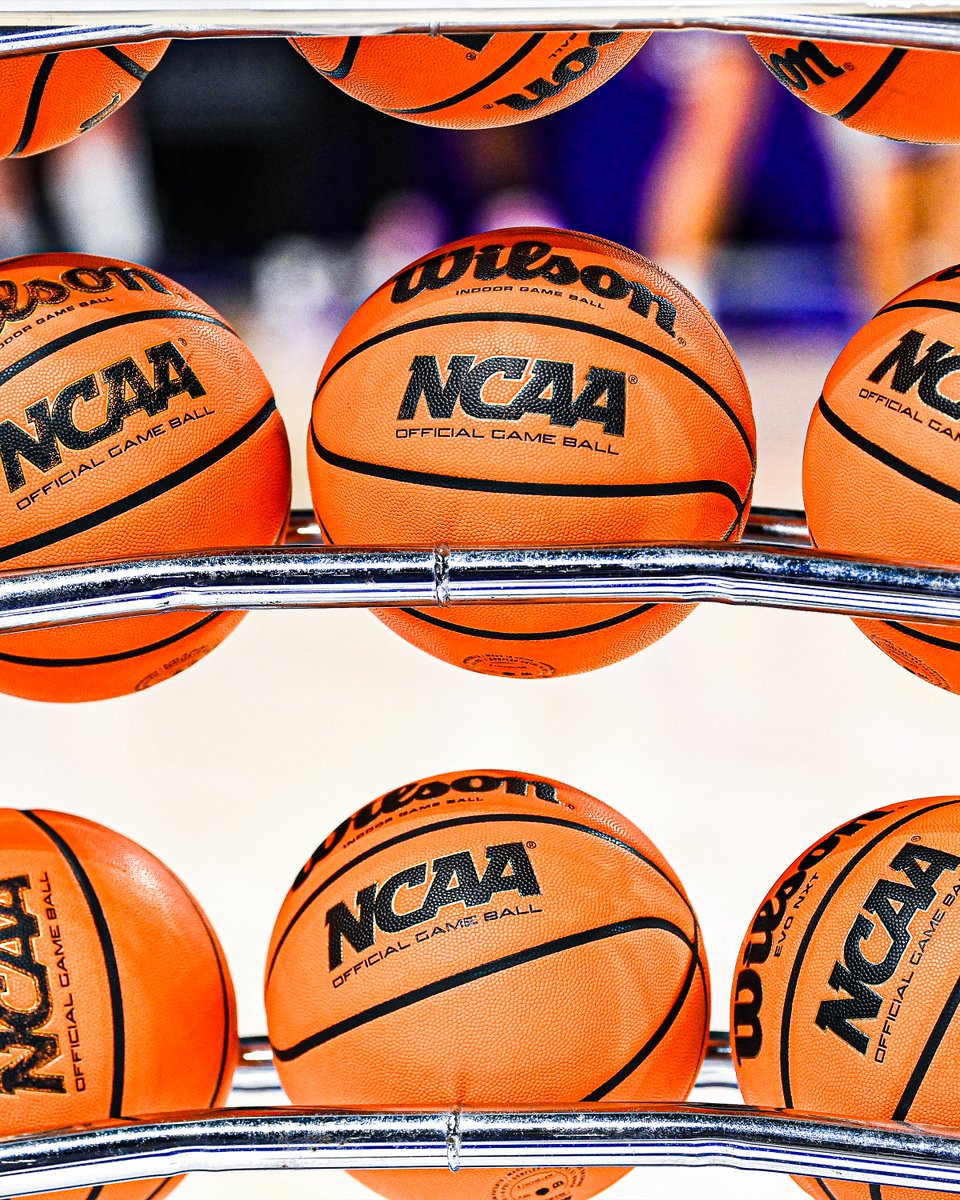 JMU Women's Basketball tweet media