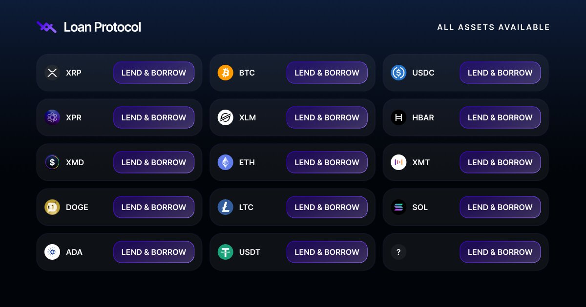 LOAN Protocol tweet media