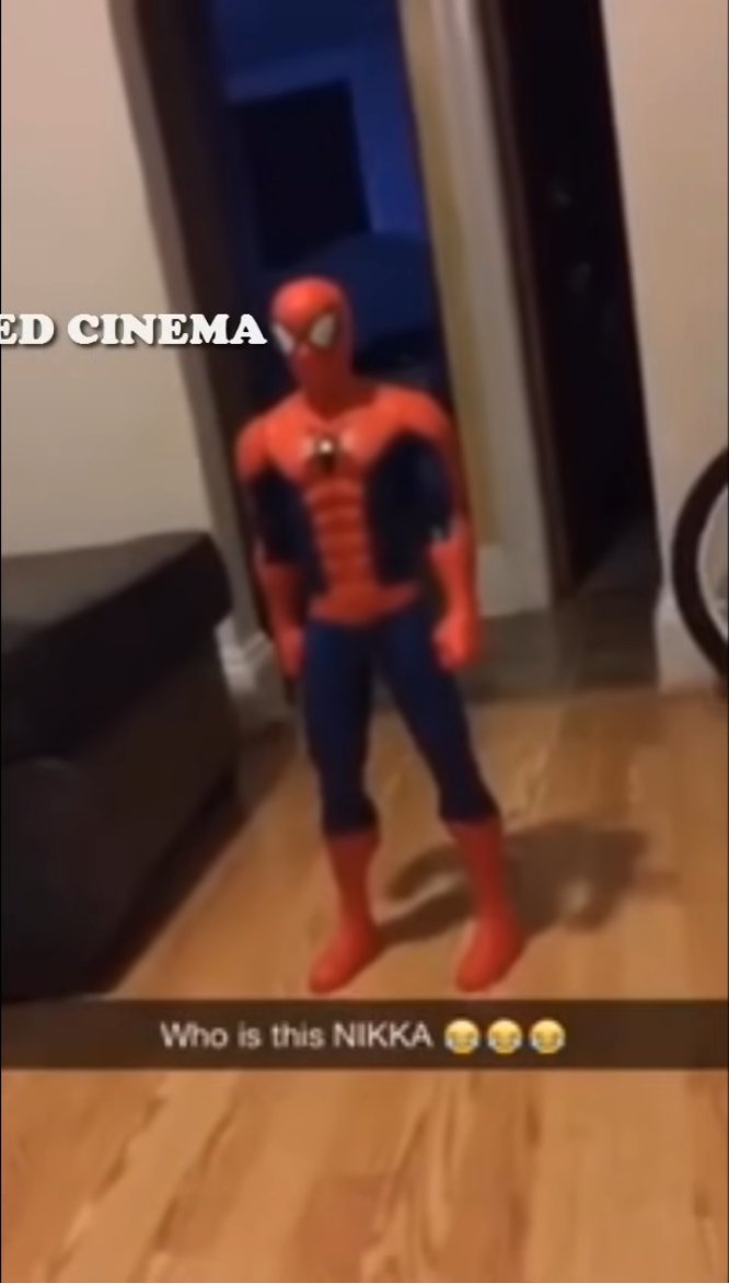 Jimmy⁷ tweet media