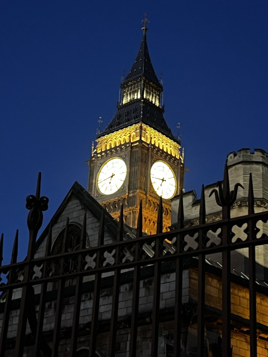 Sharron Davies HoL MBE tweet media