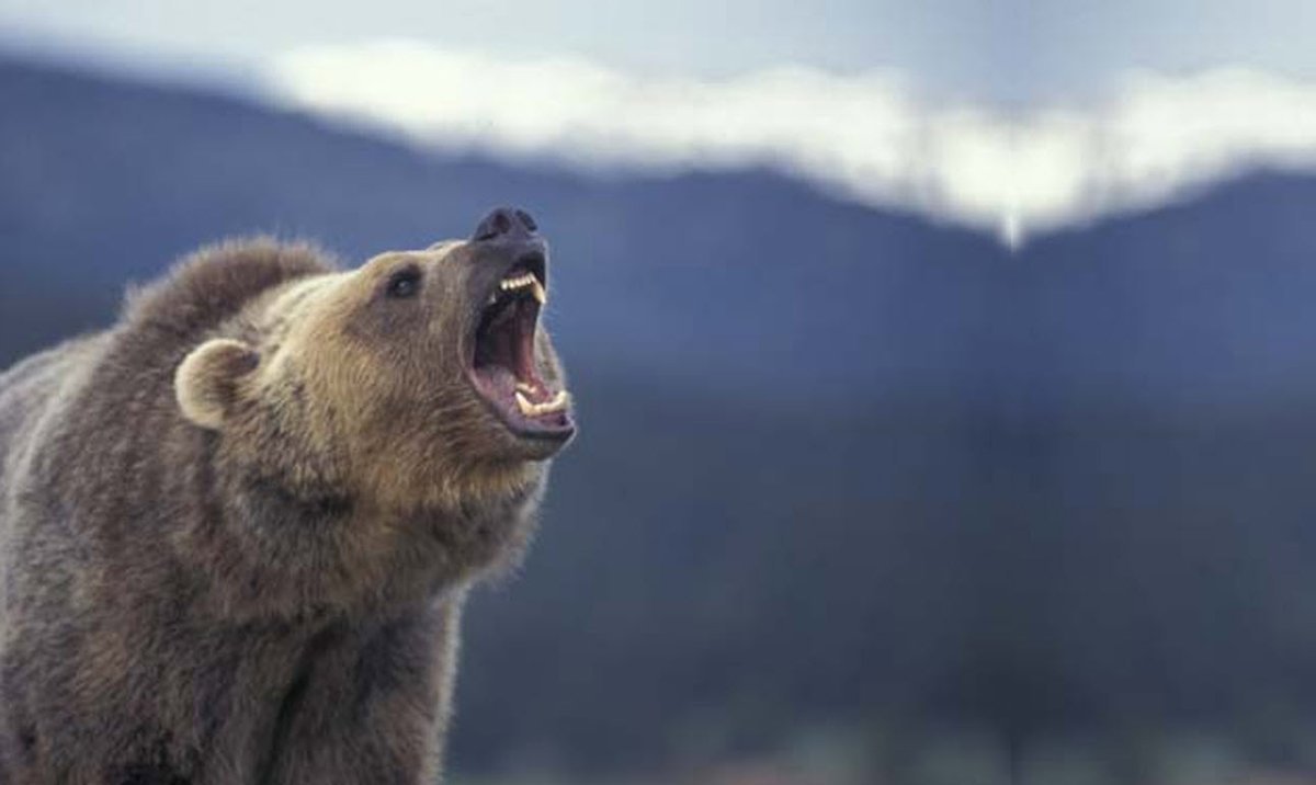 ETFguide.com tweet media