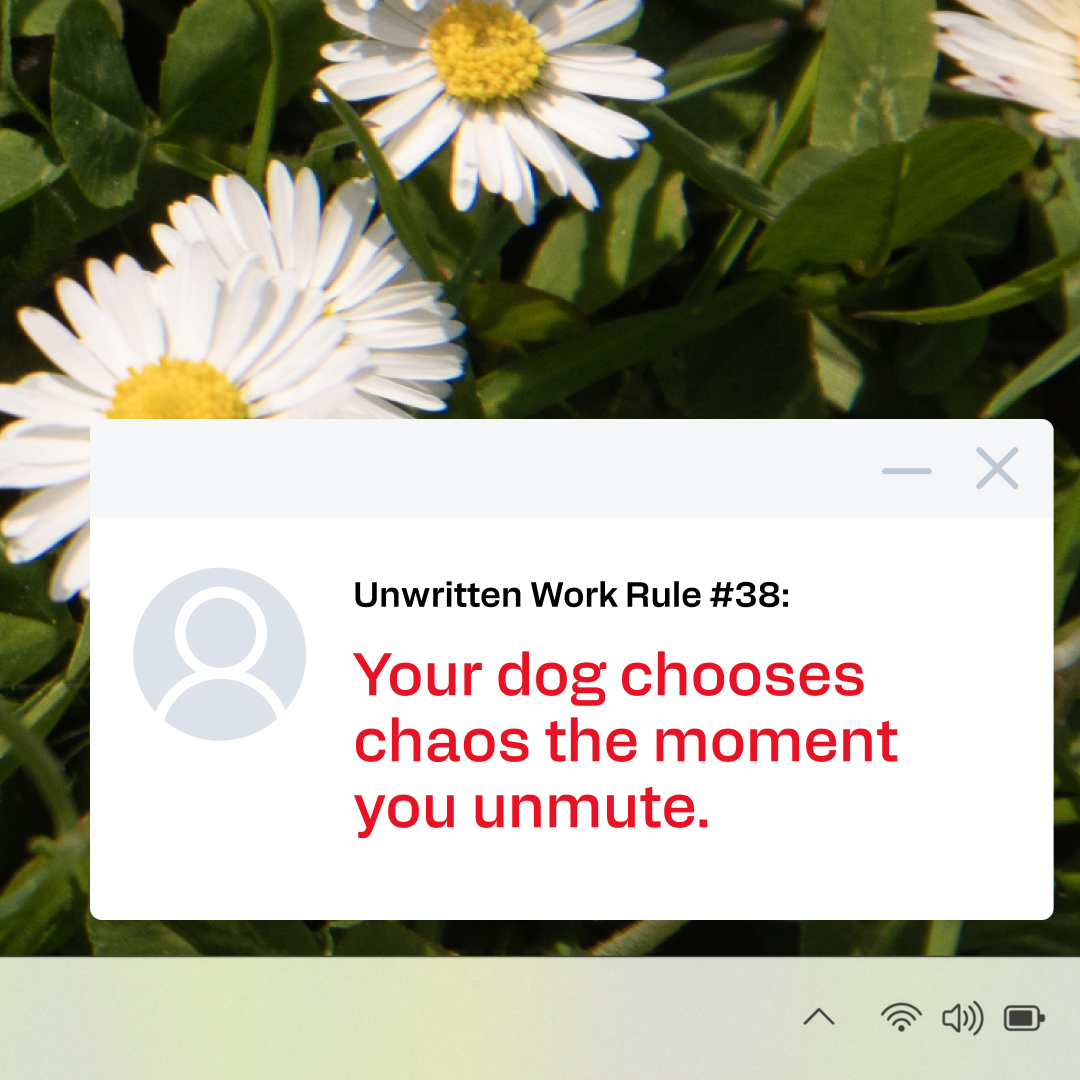 Snapdragon tweet media