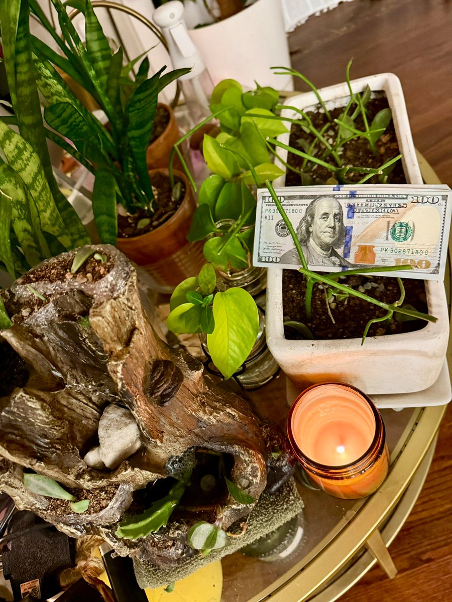 Phoenix Azul 🌸 Spring Fling 🌸 tweet media