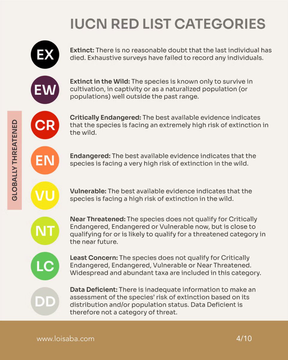 Loisaba Conservancy tweet media