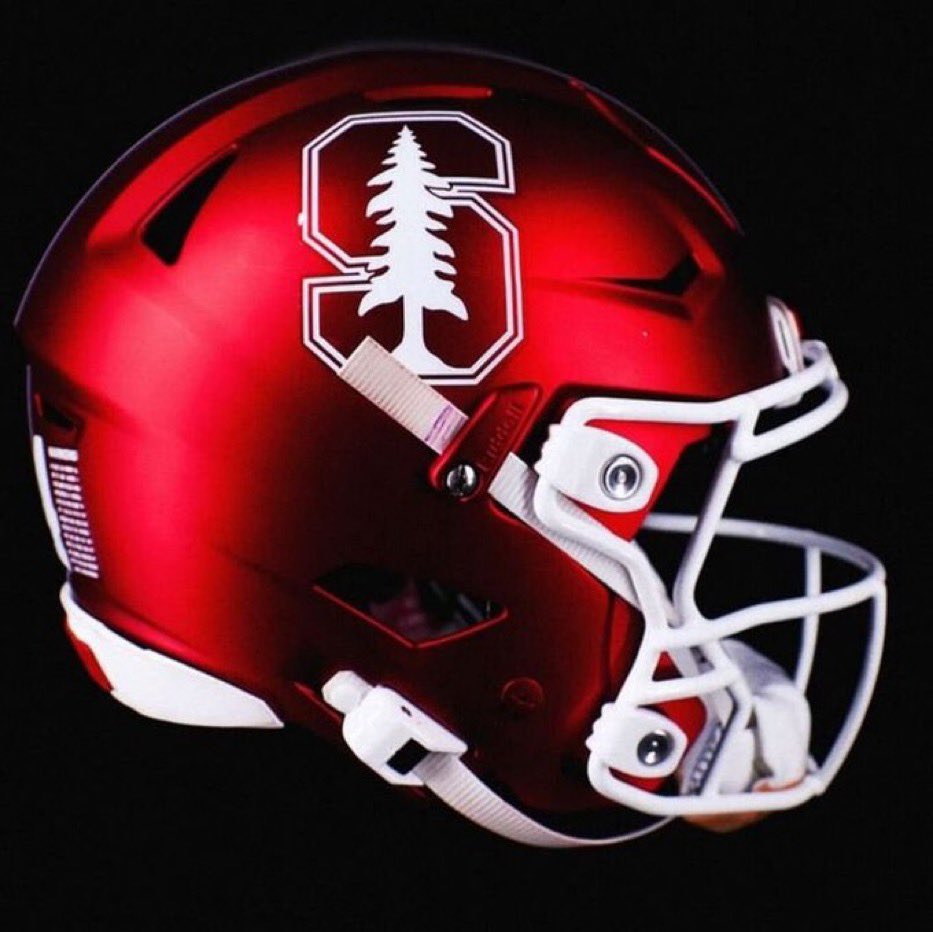 MightyCardinal tweet media