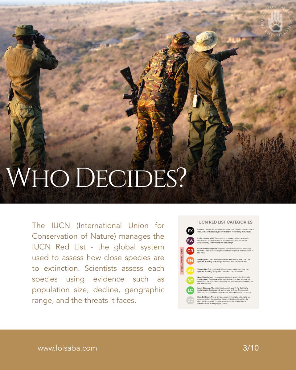 Loisaba Conservancy tweet media