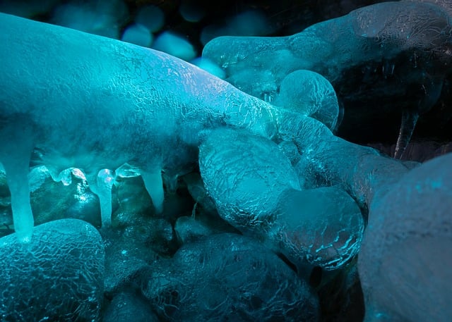 Virginia Wilson tweet media