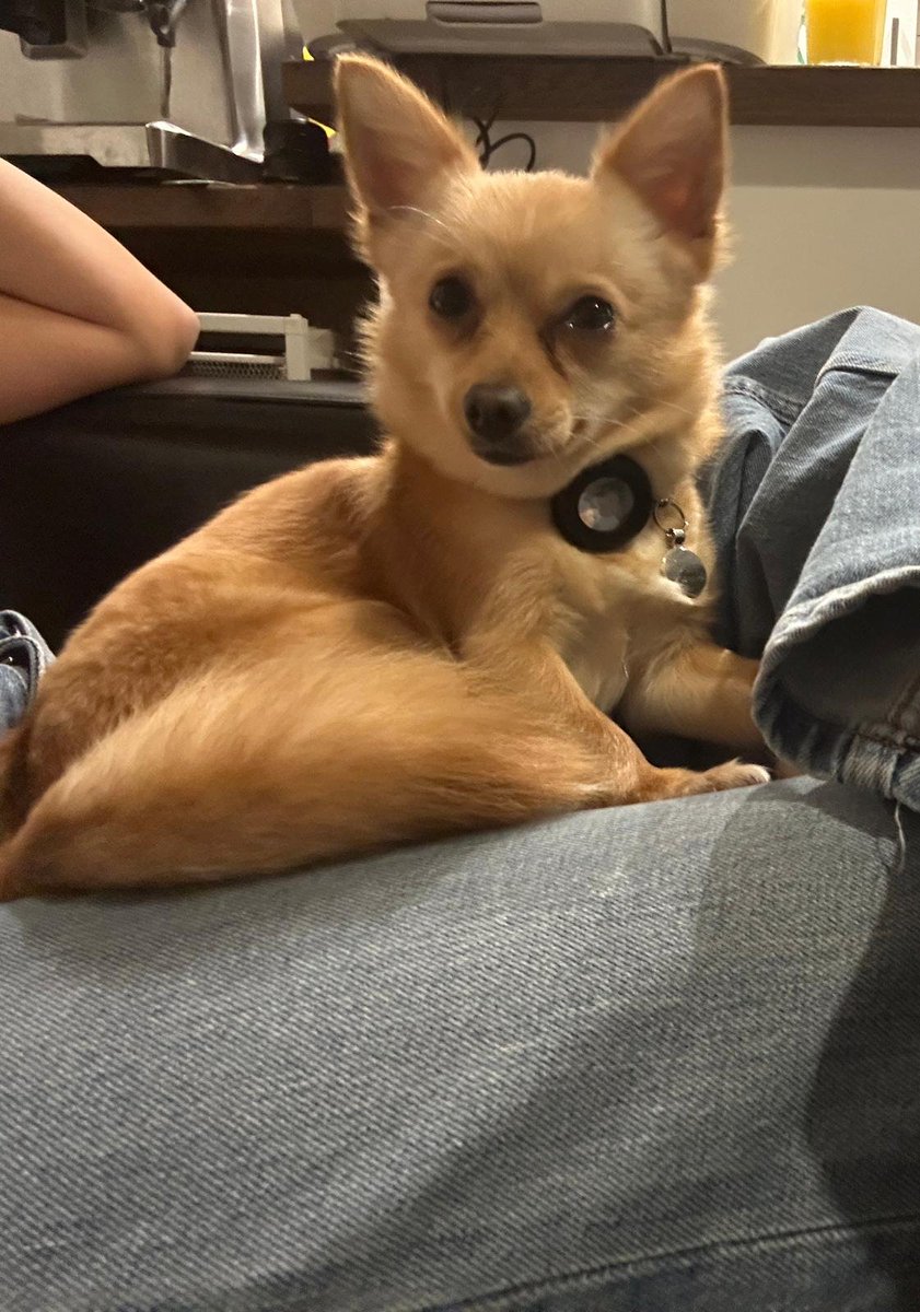 chris towers tweet media