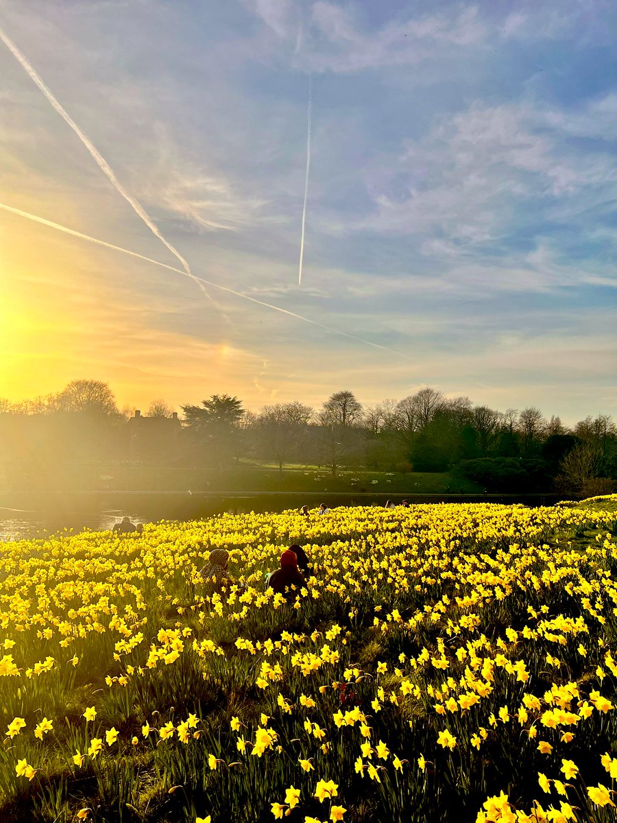The Friends of Sefton Park tweet media