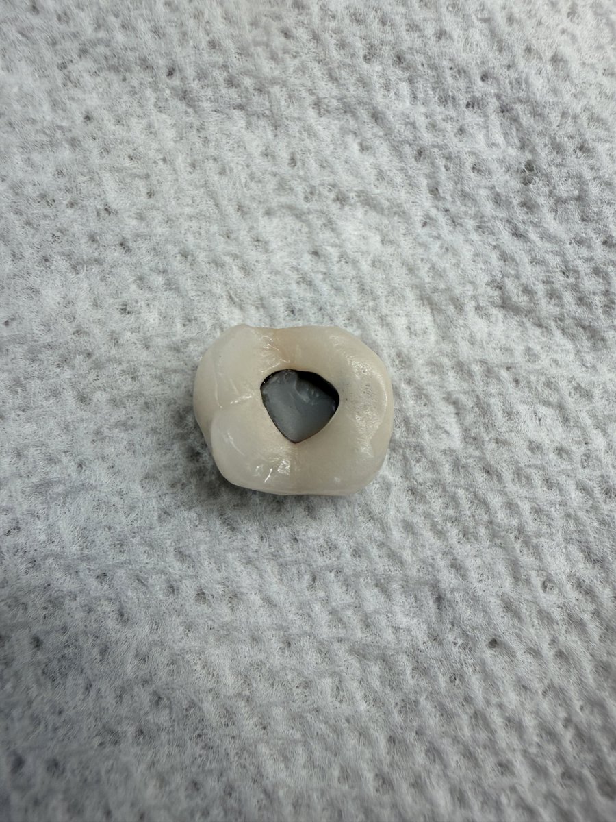 Mike Bouchard tweet media