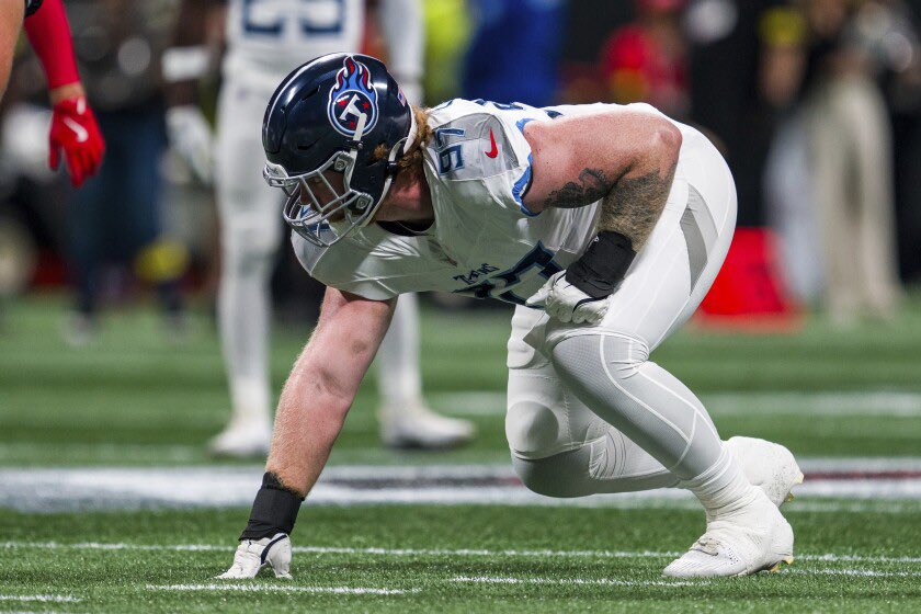 BearsMuse tweet media