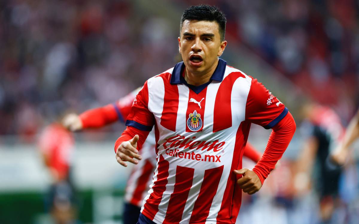 David Medano tweet media