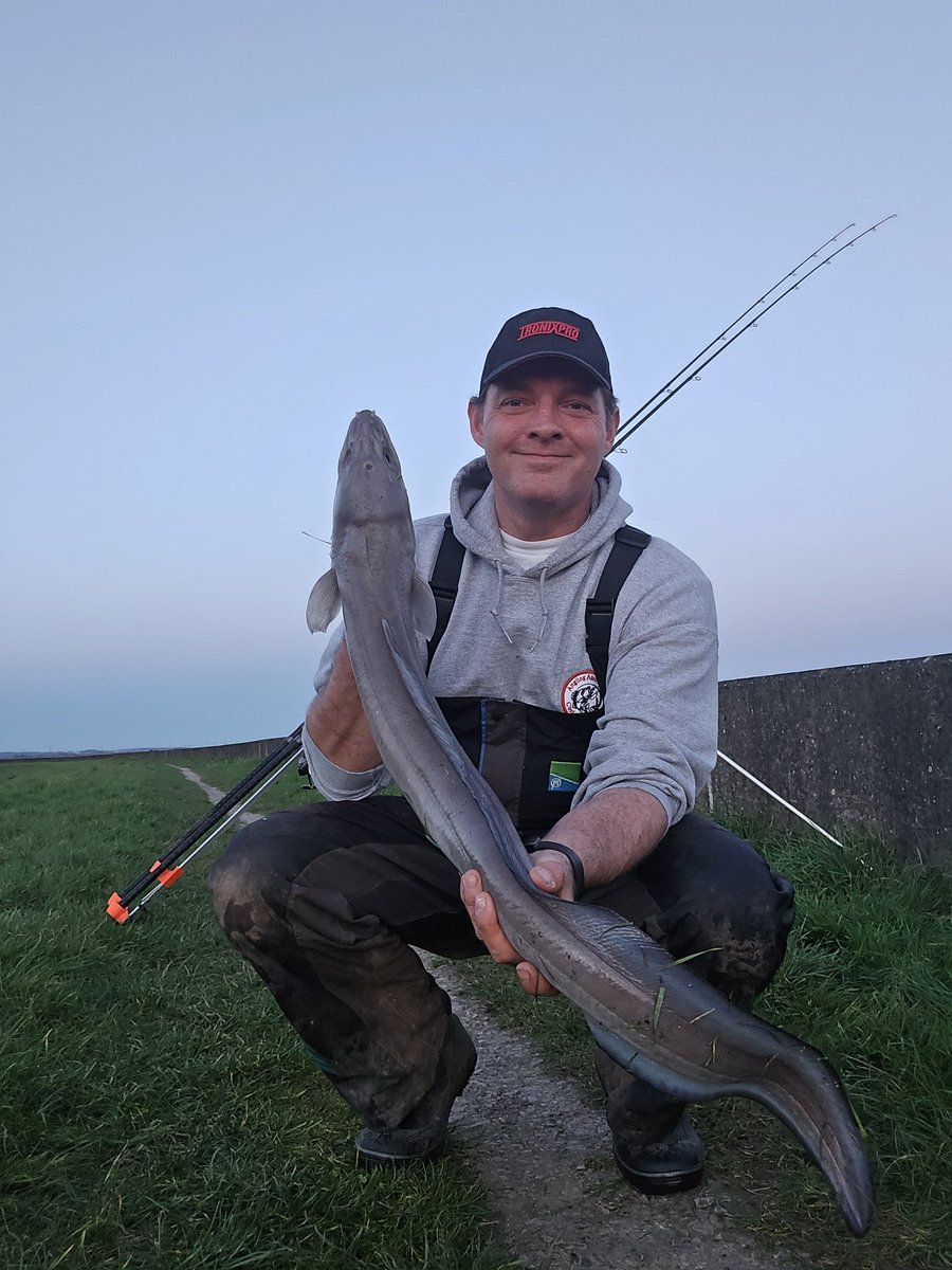 Rhys Morgan ↙️ tweet media