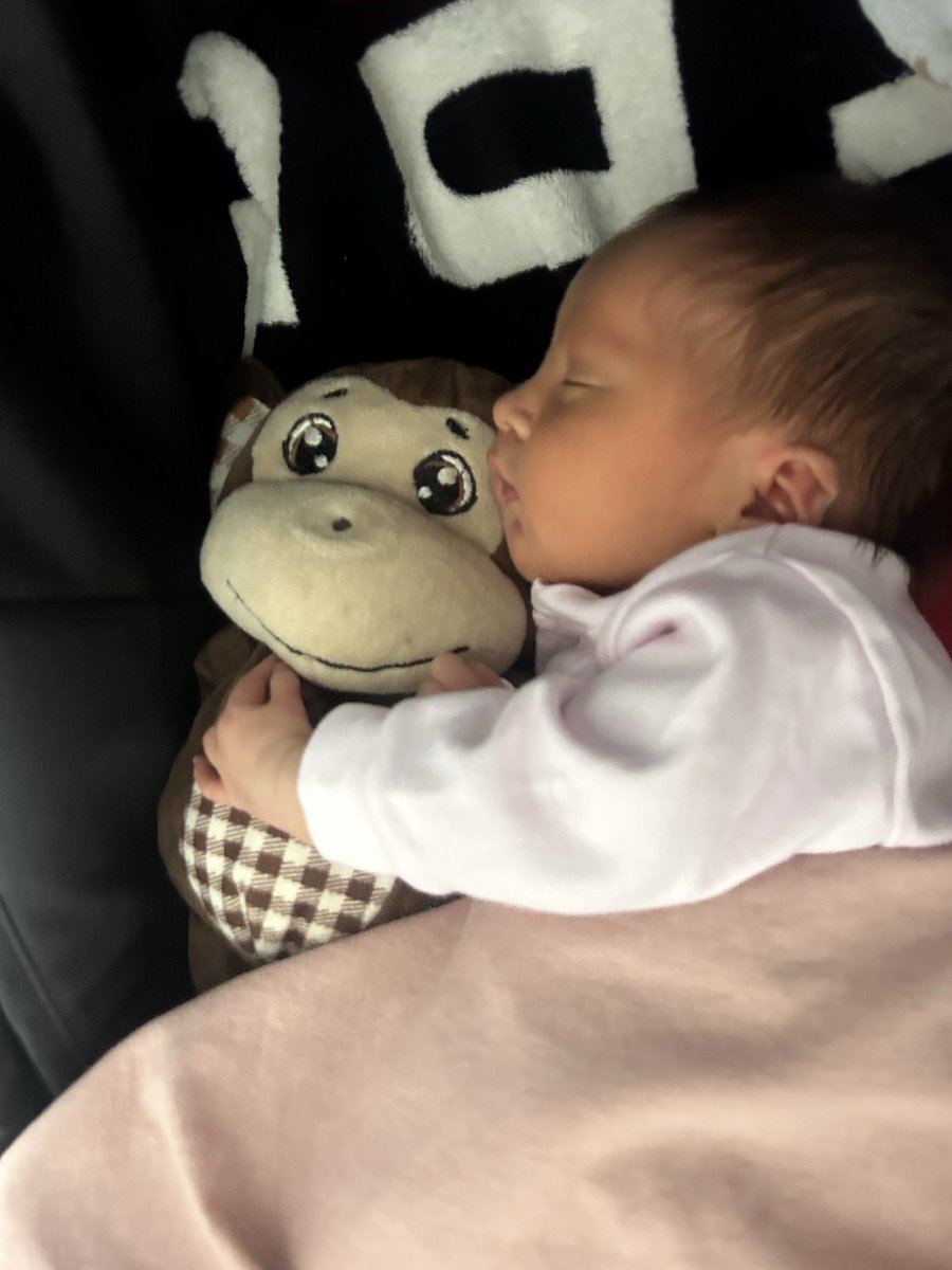 qnd a gnt choca um bichinho de pelúcia esse é o resultado: