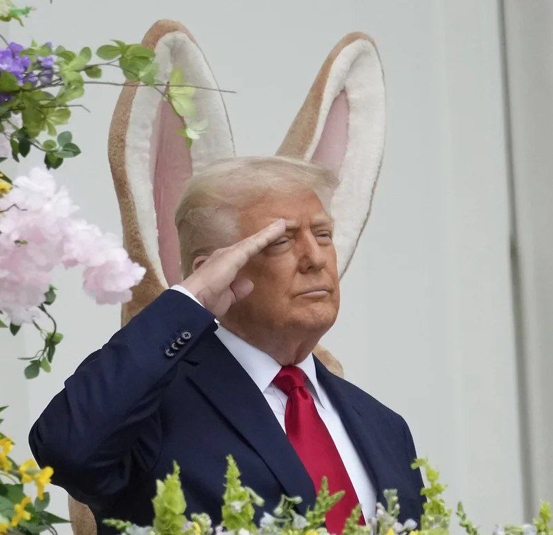 Developer 1C tweet media