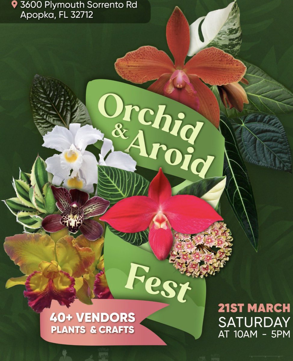 Sarah Stock tweet media