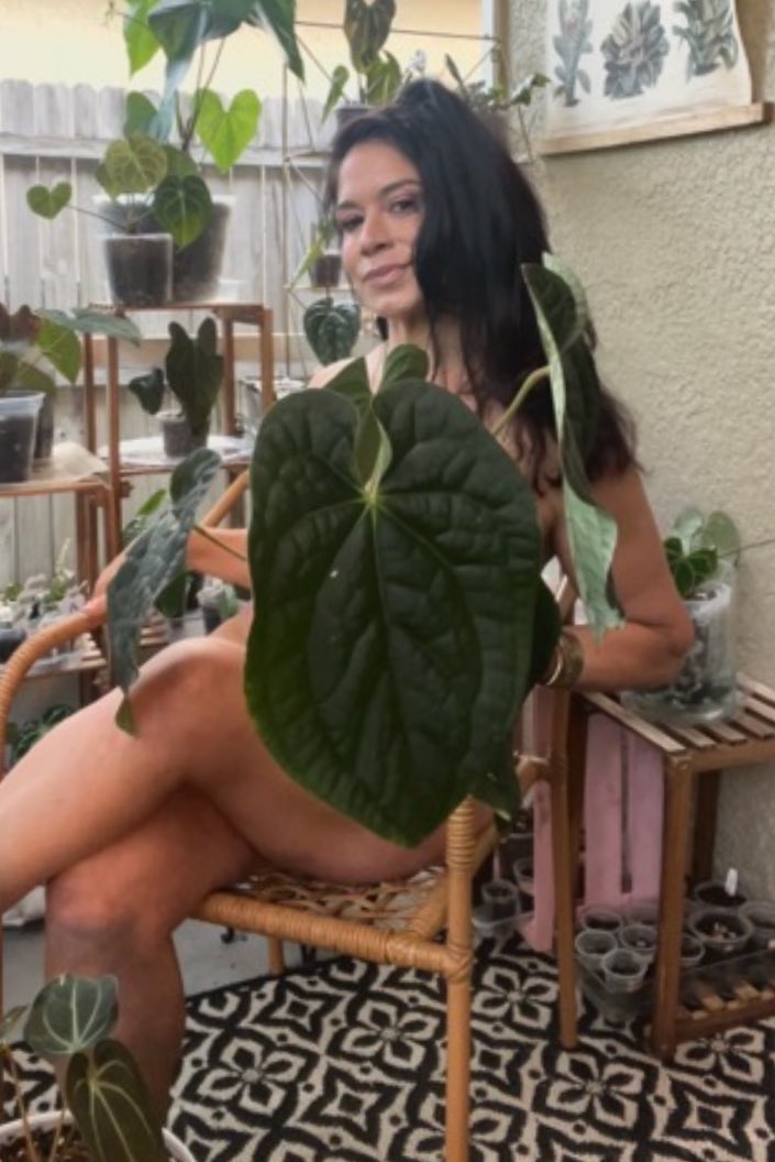 Sarah Stock tweet media