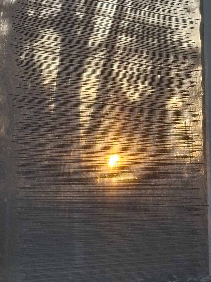 TeresaMMar's tweet image. Al gestemd? Je hebt nog even.
Waarom ik stem? Omdat ik in een dictatuur ben geboren en de overgang naar de democratie van dichtbij heb meegemaakt: uitsluiting van wie dan ook hoort daar niet bij. Iedereen doet mee, laat jouw 🫵 stem horen
Een stem voor een stem
#stemopeenvrouw