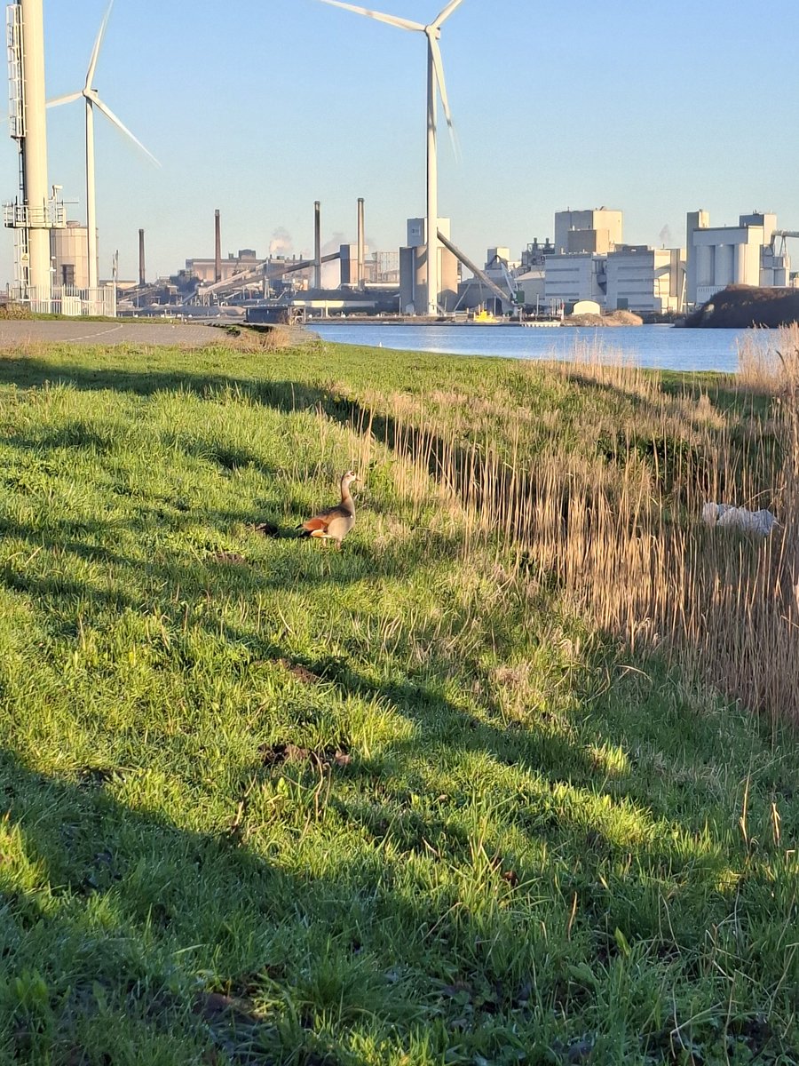 TeresaMMar's tweet image. Al gestemd? Je hebt nog even.
Waarom ik stem? Omdat ik in een dictatuur ben geboren en de overgang naar de democratie van dichtbij heb meegemaakt: uitsluiting van wie dan ook hoort daar niet bij. Iedereen doet mee, laat jouw 🫵 stem horen
Een stem voor een stem
#stemopeenvrouw