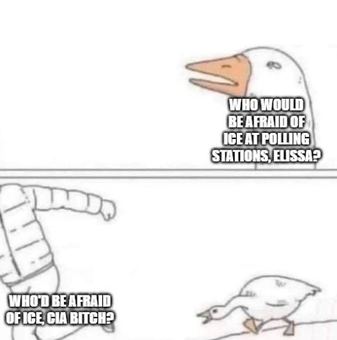 Not Stoya tweet media