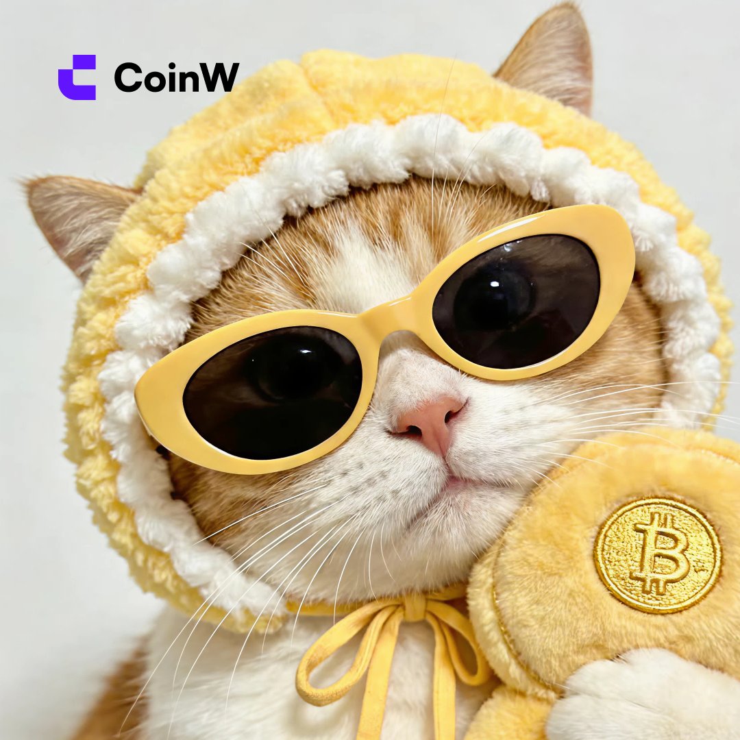 CoinW币赢 tweet media