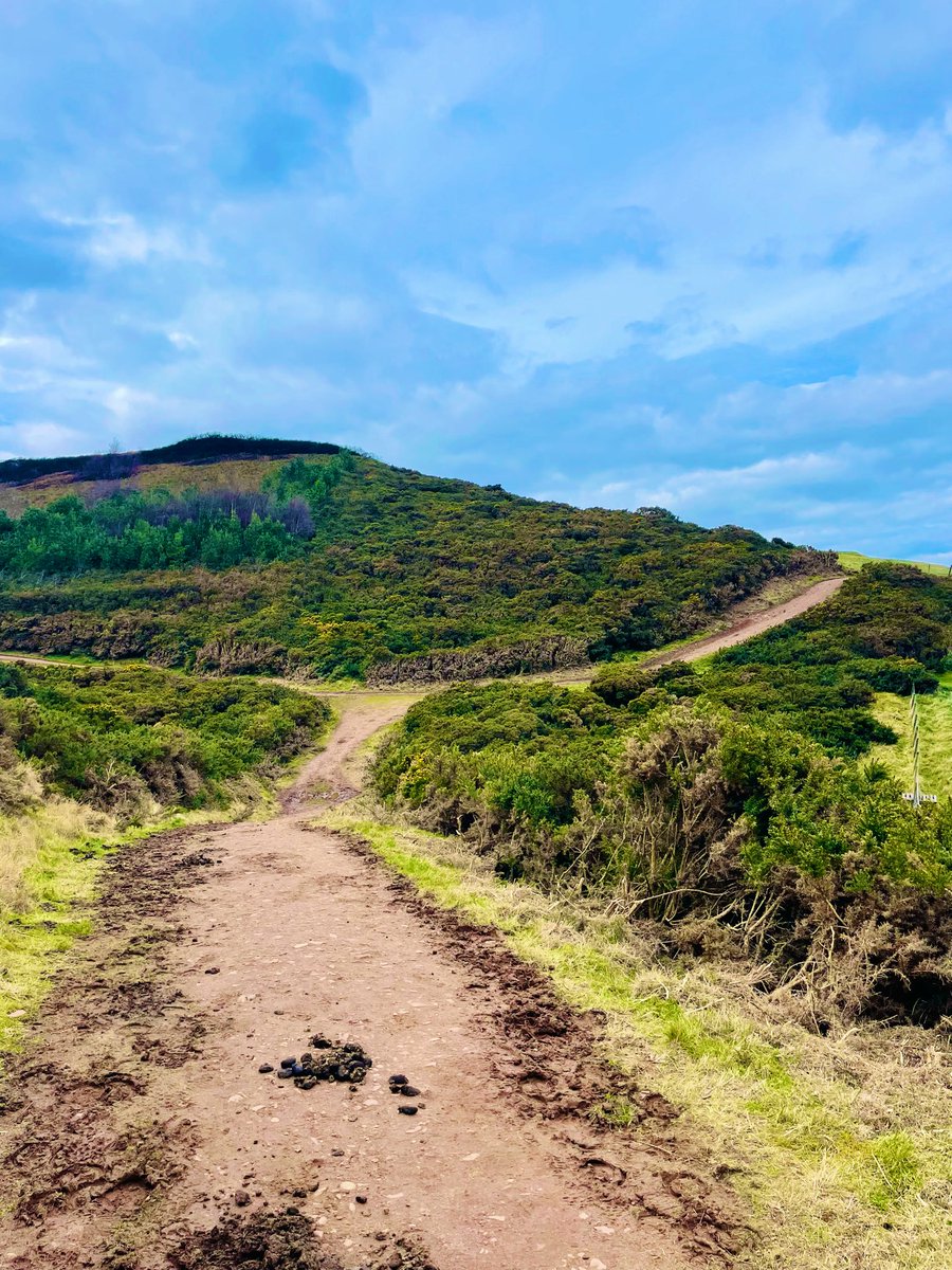 Keith Kirkwood tweet media