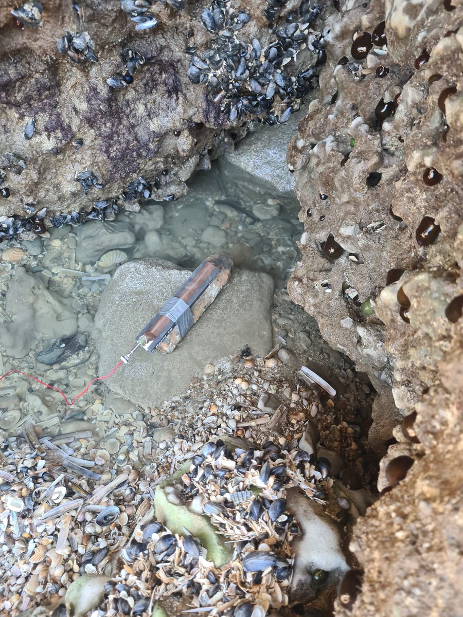 Préfecture maritime Manche et mer du Nord tweet media