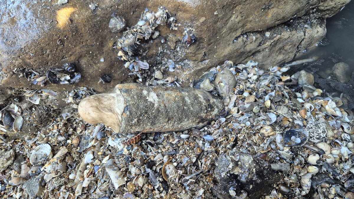 Préfecture maritime Manche et mer du Nord tweet media