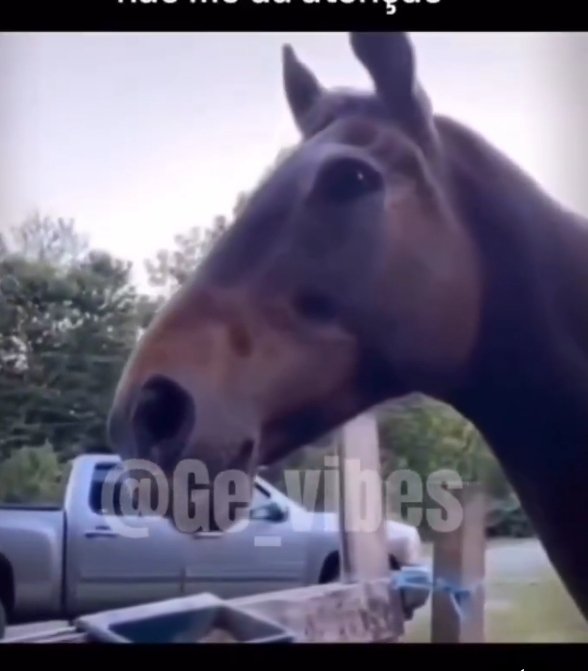 jimmy pagina o respeitador de casadas incel tweet media