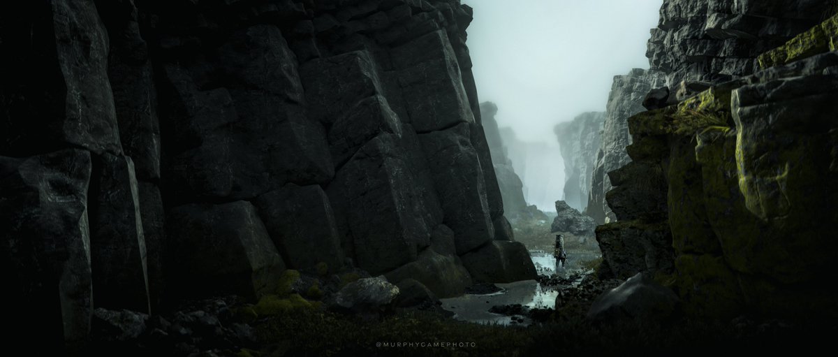 MurphyVP tweet media