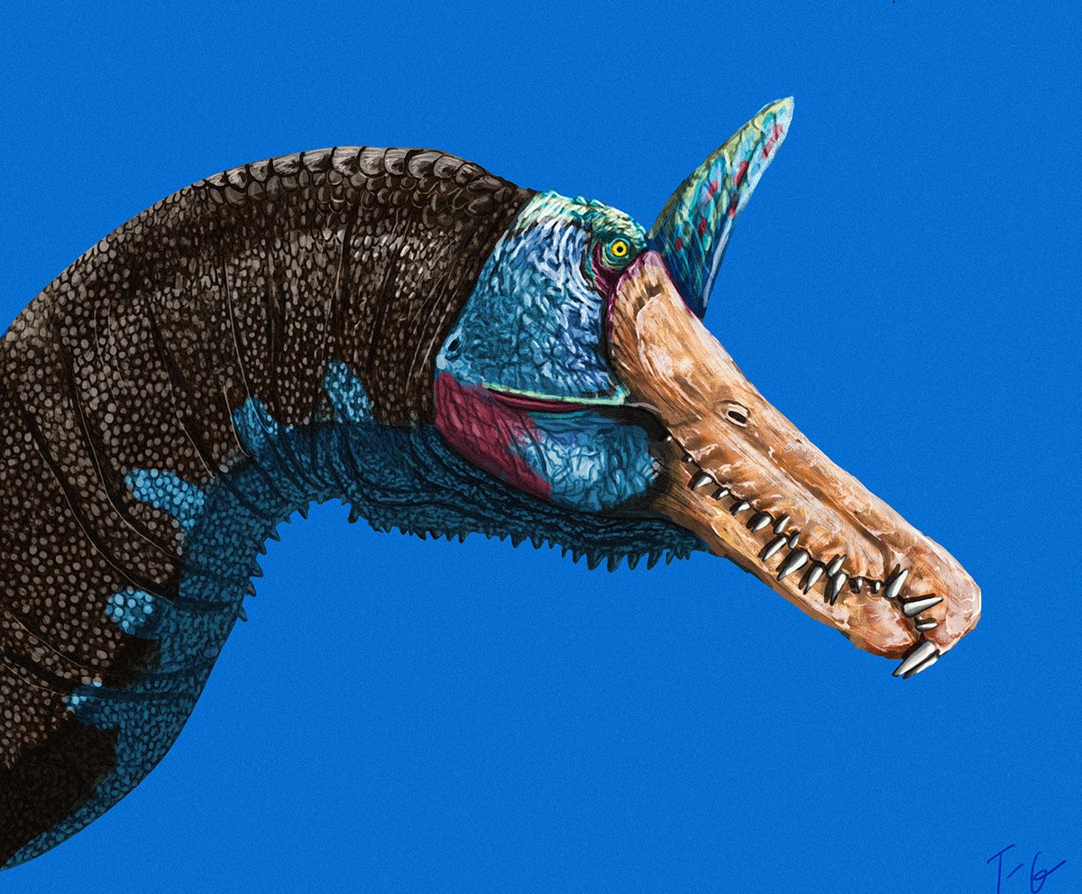 Tess Gallagher🦕(@tessasaurus.bsky.social) tweet media