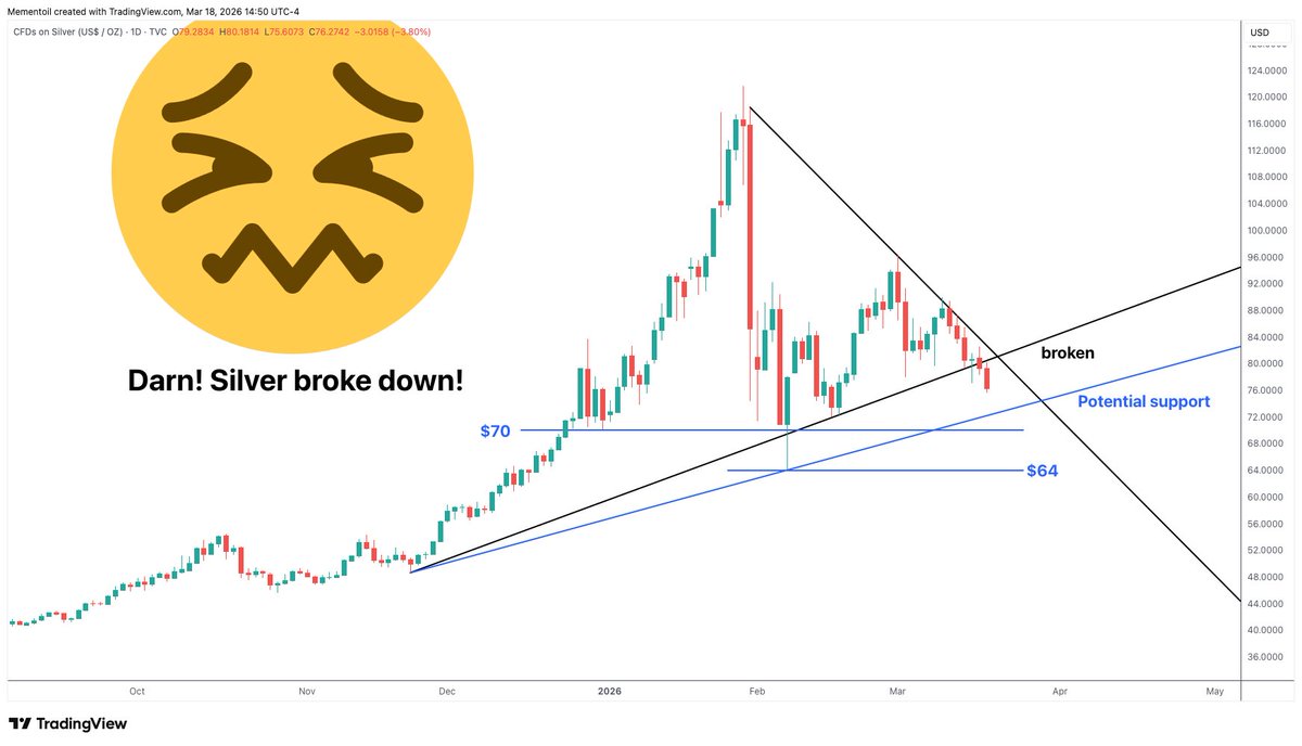 Oren Elbaz tweet media