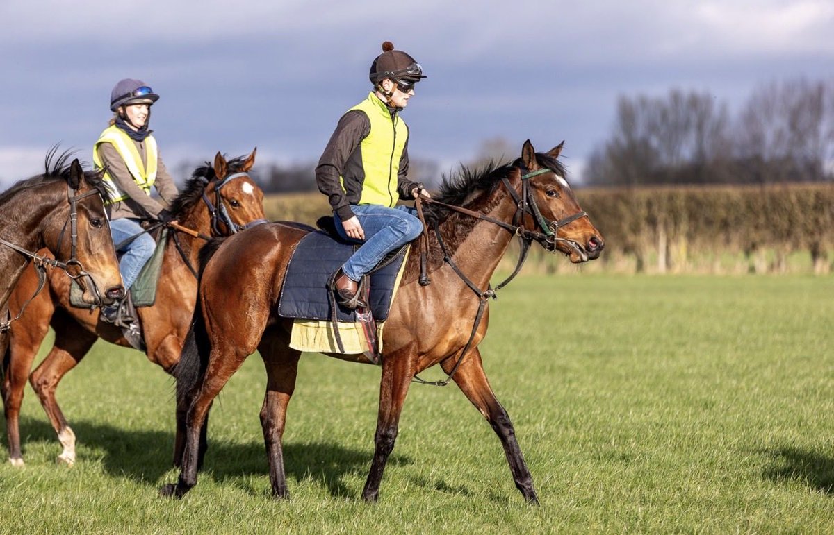 Nick Bradley Racing tweet media