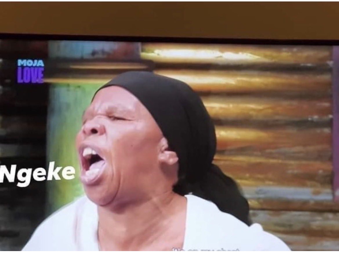 Sunflower tweet media