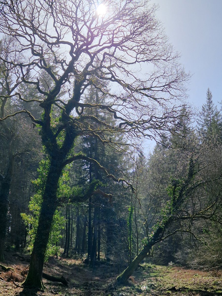 Schwims 💙 tweet media