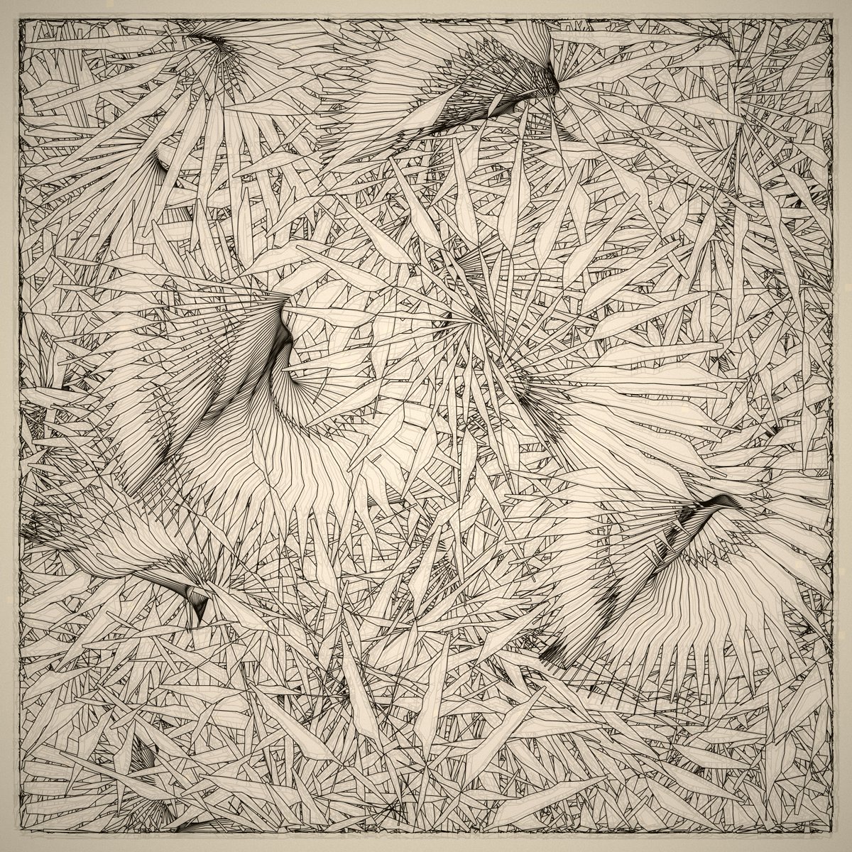 jinyaolin tweet media