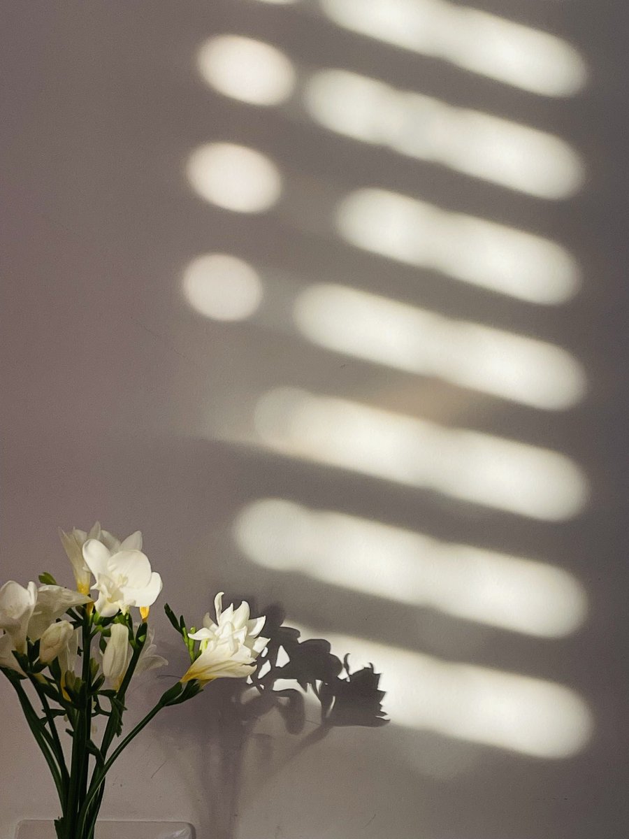 Да уж,Даша tweet media