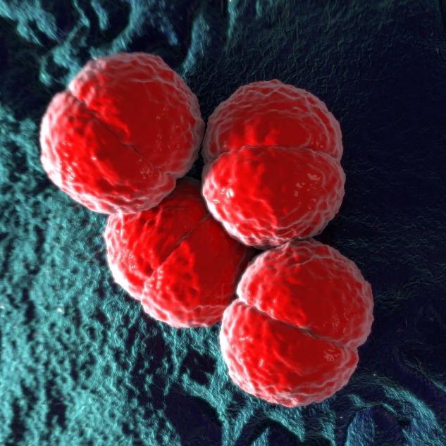 Pop Base tweet media