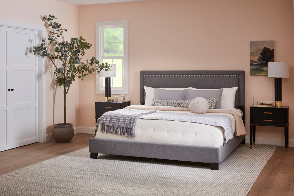 Original Mattress tweet media