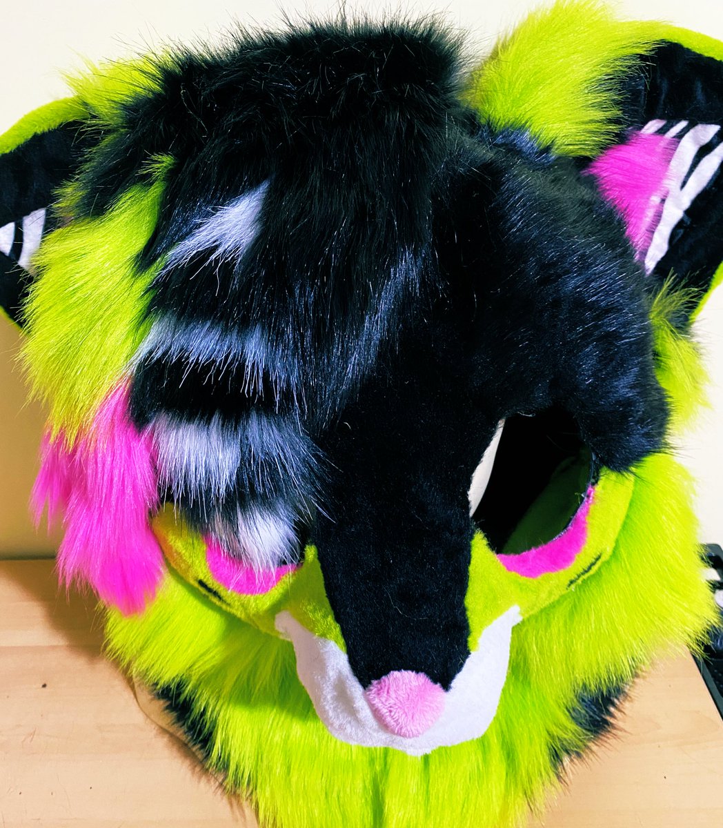 Angel 🌈🐾 tweet media