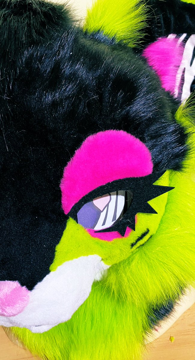 Angel 🌈🐾 tweet media