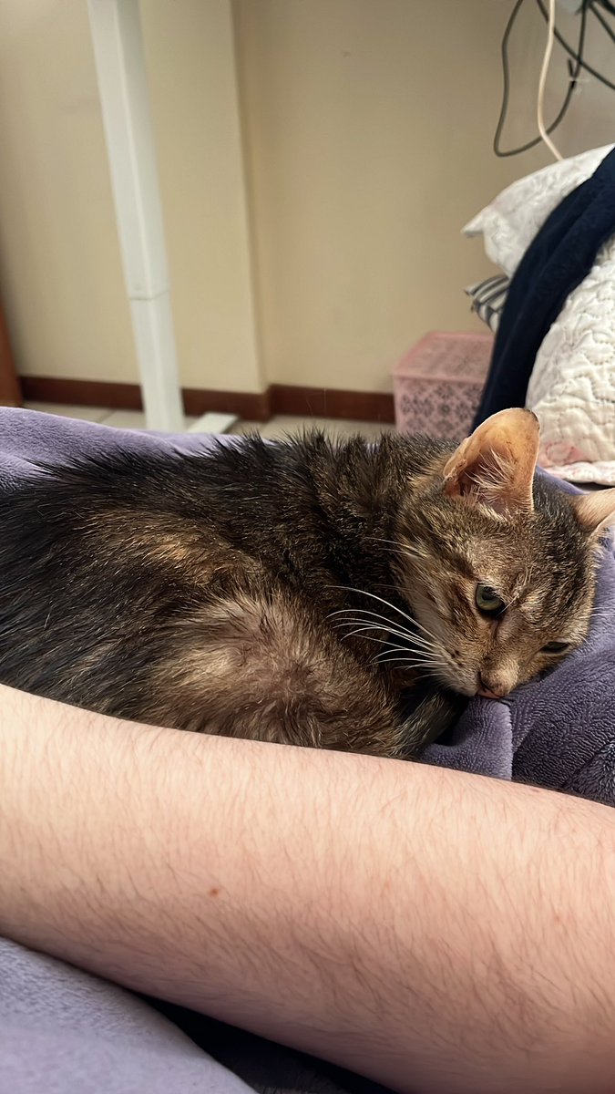 😺 Xiofanna tweet media