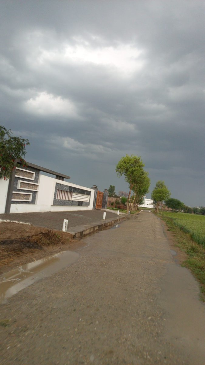 Arooj🍁 tweet media