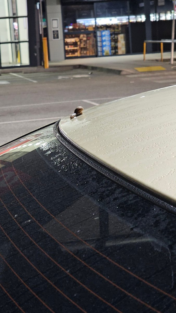 SebPro101 🛫 tweet media