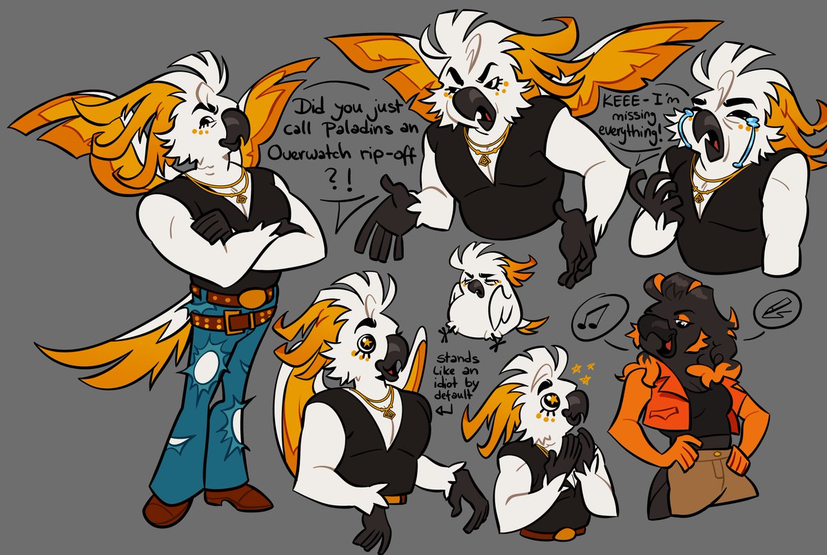 JolinDraws #PaladinsDeservesBetter tweet media